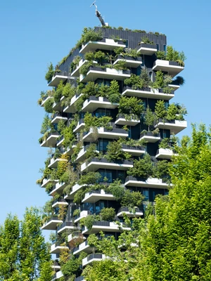 Green Building Sustainable Construction