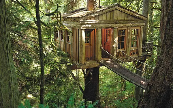 Treehouse Image