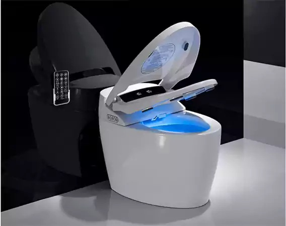 Smart Toilet Seat