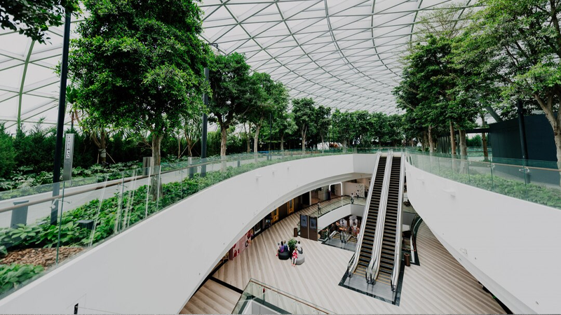 Converting a Shopping Mall into a Green Space