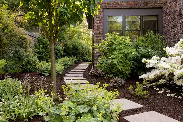 Decorative Pathways With Low Hedges Ivy and Climbing Plants