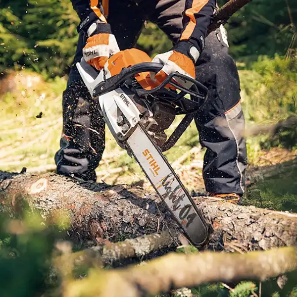 Electric chainsaw