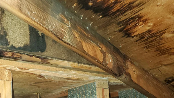Attic damage