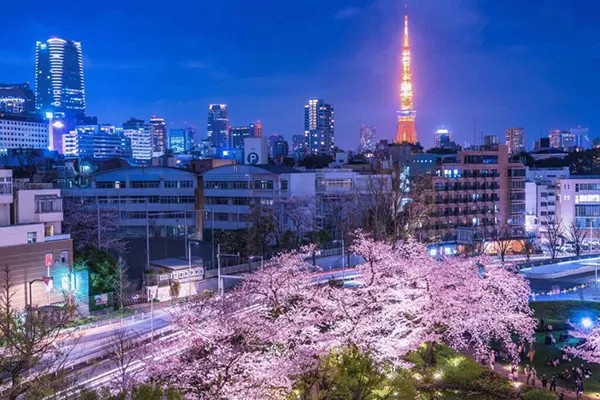 Tokyo neighborhood