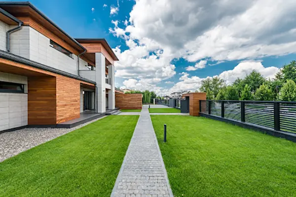Yard Looking Its Best