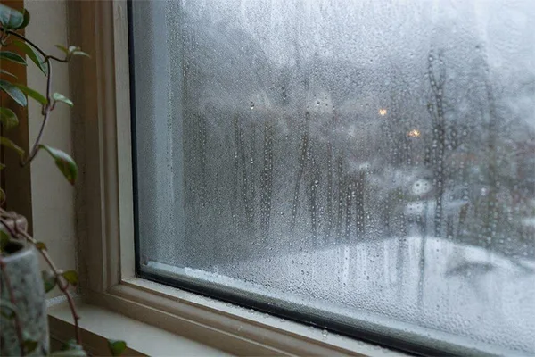 Foggy Window