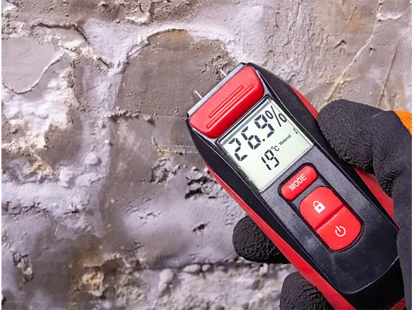 Moisture testing