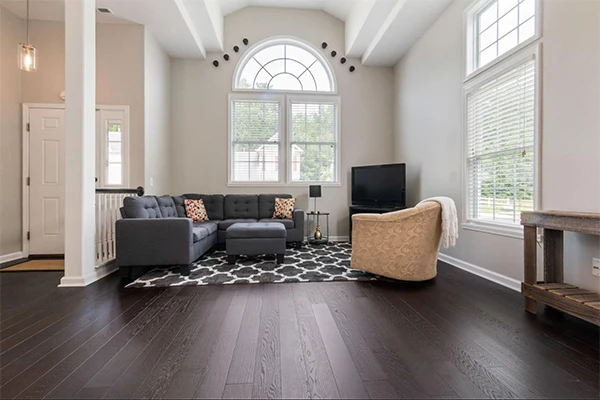 Modern Living Room With Wood Flooring