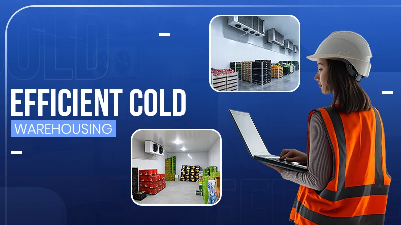 Energy Efficiency in Cold Chain Logistics and Warehousing