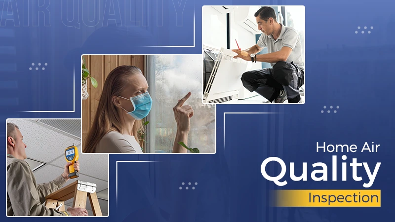 Home Air Quality