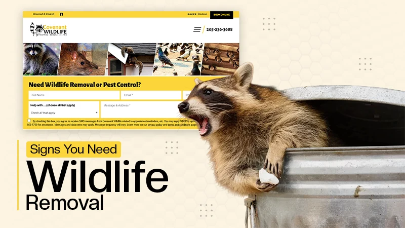 Signs You Need Wildlife Removal