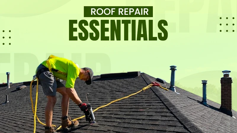 What You Should Know Before Repairing or Replacing Your Roof