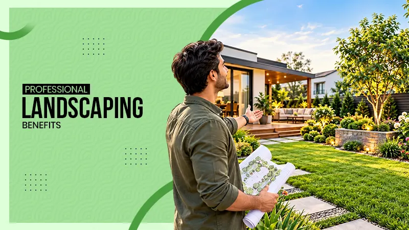 How Professional Landscaping Can Transform Your Home's Outdoor Space